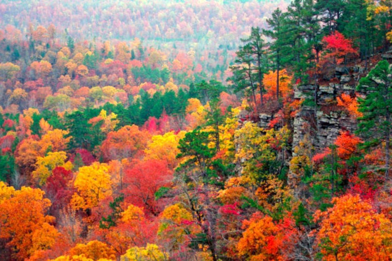 Lake Lucerne - Treehouse Cabin #01 Eureka Springs Ngoại thất bức ảnh